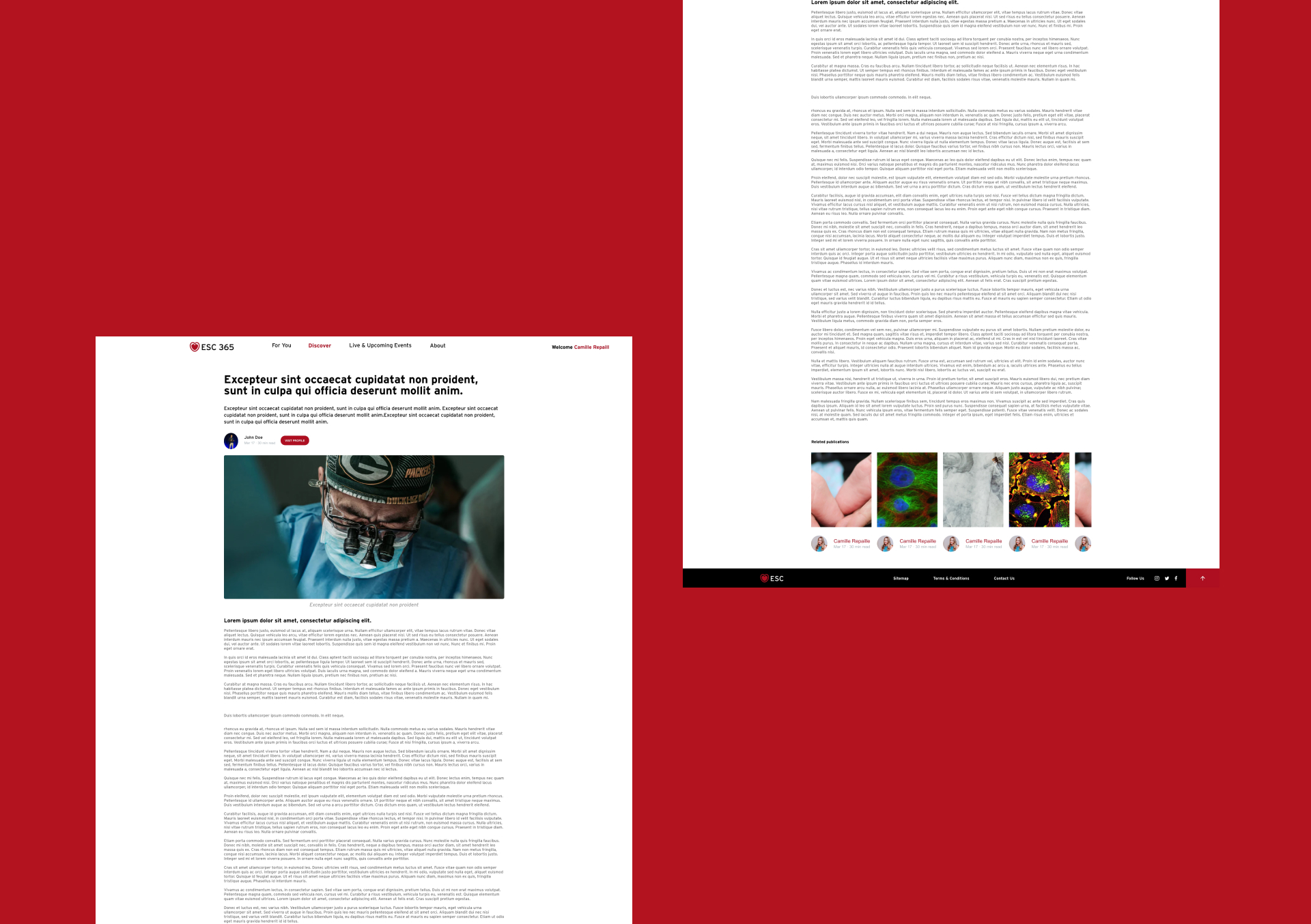 Page d'un article pour le site ESC365
